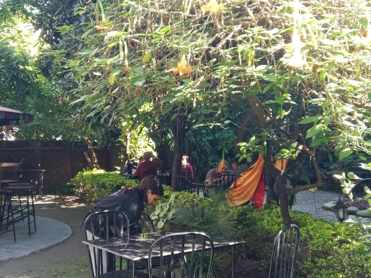 קטמנדו Hotel Lotus Garden מראה חיצוני תמונה