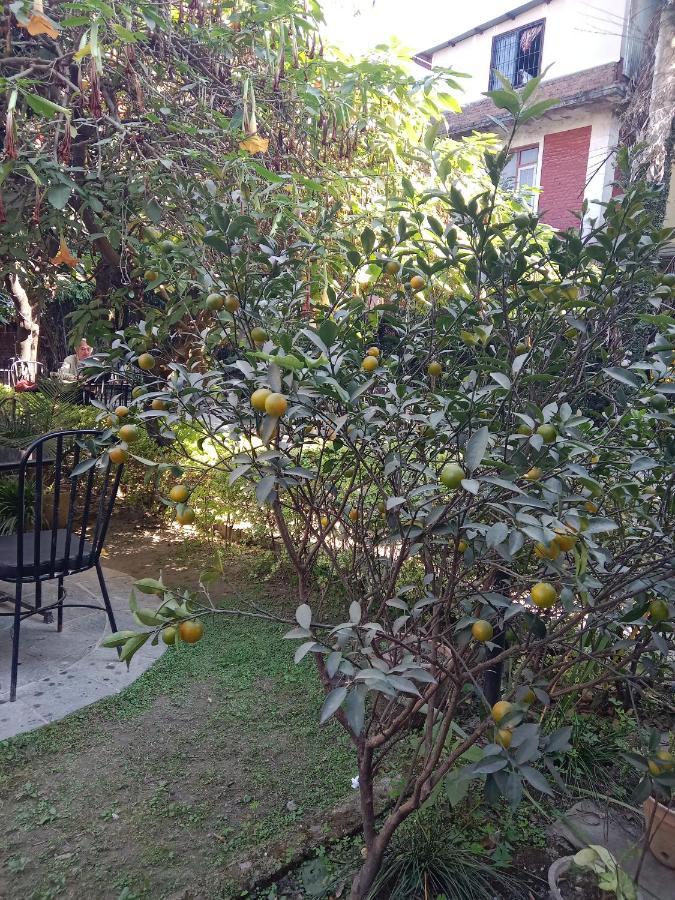 קטמנדו Hotel Lotus Garden מראה חיצוני תמונה